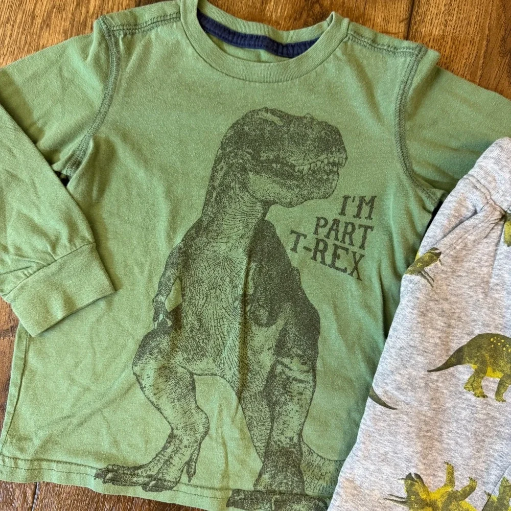 Toddler Baby Boy 2T Sweat Suits Clothes Lot Pants Hoodie Shirts Outfits Dinosaur